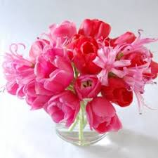 Centerpieces too small for tables? :  wedding flowers centerpieces tulips 72 inch round tables dozen tulips purple white Images?q=tbn:ANd9GcSLcmr4HTJsg7YVHmomlMqkqm1NPMqszSGKneg1pTct4ssqBKY&t=1&usg=  OpYb9I4d5fhrGUT BU2hkdJamLs=