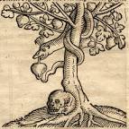 MunsterTreeOfKnowledge.jpg - via Daymix