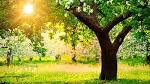 SPRING Retreat - Grace Christian Fellowship