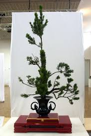 Ikebana von Angelika Eisinger - mit Haiku - Begrüßungsbild zur Ausstellung - 276313_web