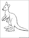 Kangaroo coloring page
