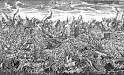 Lisbon, 1755: The Earth Shook