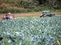 Agriculture Science Careers | eHow.