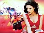 VEENA MALIK desktop wallpapers # 15848 at 1024x768 resolution for ...