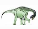 Camarasaurus dinosaur