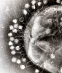 Universe, Life, Science , Future 04/