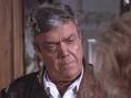 Wayne Tippit as Leo Hackett
