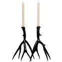 Antler CandleSticks - Rare Bird Finds