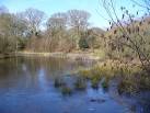 Pond on Great Bookham Common - via Daymix