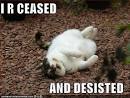 I'M BEING CYBERSTALKED BY A DELUSIONAL PSYCHOPATH.: STOP and CEASE ...