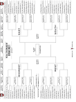 Where are the student sections generally for NCAA TOURNAMENT games?