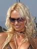 bret michaels sex tape