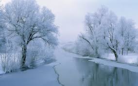 http://t2.gstatic.com/images?q=tbn:ANd9GcSND9RTvHzX9ASnt7BhBjnB40o7s_dpVx1ShaGLuAIyvL90PvV9