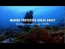 World Bank proposes global coalition to save oceans - Worldnews.