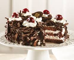 images?q=tbn:ANd9GcSNtqzccb5uoDLm4zNWmscxvm88OYwofFz0sG99SHMwWtist6KB