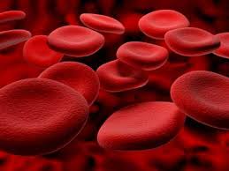 Blood Stream