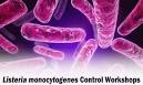 Listeria Monocytogenes Control Workshop | American Frozen Food.