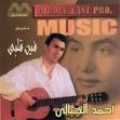 Ahmed El Gebaly. Fen Alby