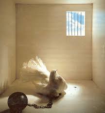 images?q=tbn:ANd9GcSON9z1DhQKM-8iWt0ihocsoi-lzmQvQCxplmF7CbfSYzAXke9qrA