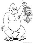 Gorilla coloring page