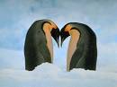 Neuroendocrinology Letters -- ETHOLOGY