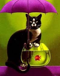http://t2.gstatic.com/images?q=tbn:ANd9GcSOj9JRMCw9zaRmreTJmhe1BYGaKE_QebzhluLIgL2-PD3bpBk_66J_INXydg