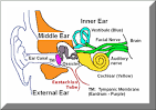 Image3.gif