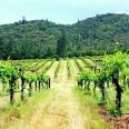 Applegate Valley: Oregon's rugged wine region - Sunset.