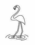  Bird Coloring in Pages | Bird Coloring