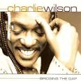 http://cdn.songonlyrics.com/wp-content/uploads/2011/11/Charlie-Wilson-Bridging-The-Gap-2000.jpg