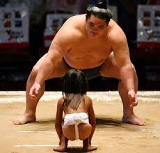 sumo