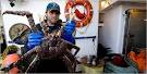 Deadliest Catch - Dutch Harbor - Unalaska - Alaska - Television ...