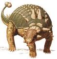 euoplocephalus | Tumblr