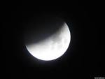 Latest Hollywood bollywood top news updates: June 2011 Lunar ...