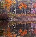 Burges Pond Fall 2007 — a Canon G9 Image « Photos and thoughts ...