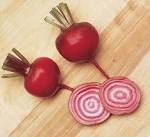 Beet: Chioggia
