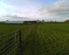 near to Smithfield, Cumbria, Great Britain. Graceland Nurseries - via Daymix