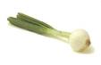 Cook's Thesaurus: Green Onions &amp; Leeks