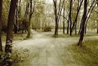 Crossroads Dispatches