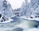 Anticipated Movies for Winter 2012 | Welcome to Seven12 Magazine