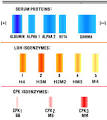 Myocardial Markers