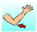 Art &amp; Story Extreme!! » Elbow!!