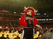 Benny the Bull - Wikipedia, the free encyclopedia
