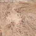 Flea Pictures - What do Fleas and Flea Infestations Look Like.