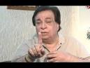 Kader Khan lashes out at
