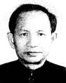 Wang Yuan