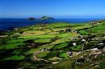 IRELAND | Tracey Elliot-Reep