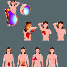http://t2.gstatic.com/images?q=tbn:ANd9GcSR8kDiL6KvgWtpwooCjbwiV6RjKn5Q1VB8AuDu26FsEsfF5EUr