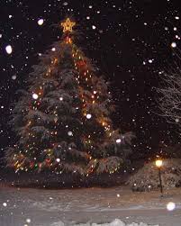 Natale L'albero di Natale: storia, tradizione e curiosità Images?q=tbn:ANd9GcSRTO0kA4NQmyLaz0Y2tQTwtSHTC6qwRsQgsj7dW0aSqSVBHUlx