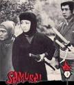 Shintaro   The Samurai   TV Fan Page